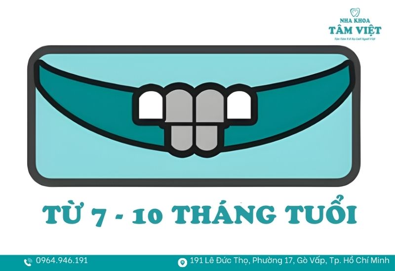 1 chiếc răng sữa mọc trong bao lâu và cách chăm sóc đúng 4 2 chiếc răng cửa bên ở hàm trên sẽ tiếp tục nhú lên