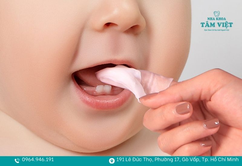 1 chiếc răng sữa mọc trong bao lâu và cách chăm sóc đúng 6 Cho bé ngậm khăn sạch ướt