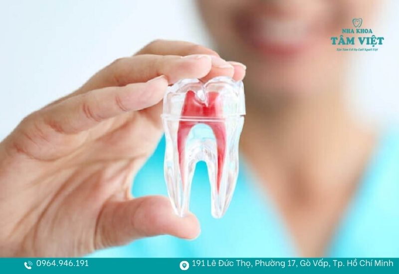 Vấn đề về tủy chưa được xử lý triệt để